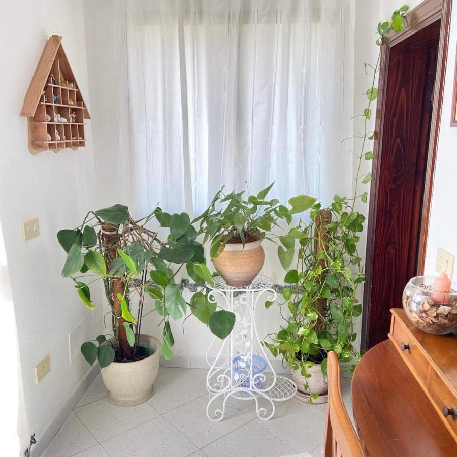 Villa Casa Maltinu Santa Teresa Gallura Exterior foto