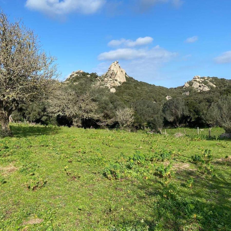 Villa Casa Maltinu Santa Teresa Gallura Exterior foto
