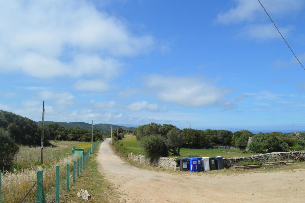 Villa Casa Maltinu Santa Teresa Gallura Exterior foto